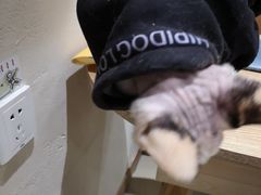 -藏猫猫咖啡主题馆(中央大道店)