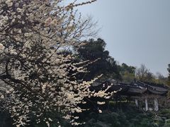 -杭州黄龙洞