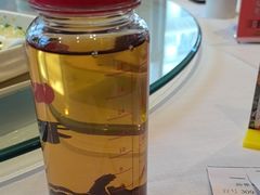 -新雅粤菜馆(南京东路店)