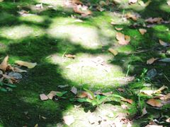 -回龙观体育文化公园