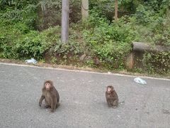 -西岭雪山大飞水景区