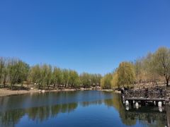 -长春公园(普阳街道)