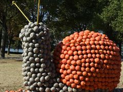 -上海月湖雕塑公园