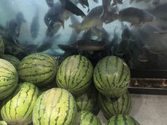 -肥鱼屯活鱼锅(惠工街店)