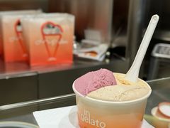 莓果与柑橘-Dip in Gelato(富民路店)