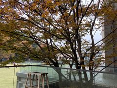 -CEMENT·coffee bar (凤凰创意园店)