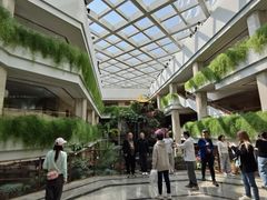 -广州白天鹅宾馆