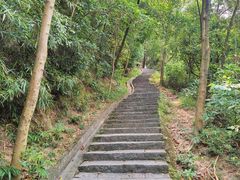 -火炉山森林公园