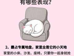 -瑞鹏宠物医院·骨外科·心肾科·肿瘤科(九亭店)