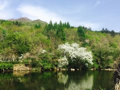 -三块石国家森林公园