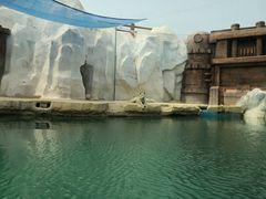 -秦皇岛乐岛海洋王国