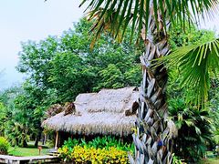 -中国科学院西双版纳热带植物园