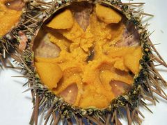 海胆刺身-旺角小渔村(二马路店)