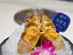 -海月轩海鲜豆捞(紫金塔店)