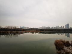 -滨湖塘西河公园