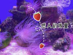 -多彩贵州城极地海洋世界