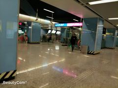 -大龙山(地铁站)