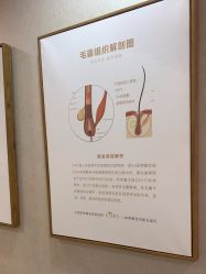 -熙朵美学植发·连锁品牌