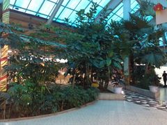 景观位-红栌温泉山庄生态美食餐厅