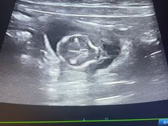 -瑞派·关忠动物医院·猫专科·犬专科(三环新城店)