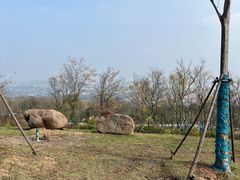 -南京市江宁方山