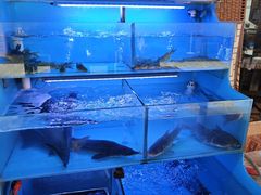 -韩妹鱼庄·泸定老字号(泸定店)