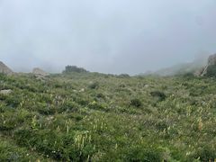 -白草畔自然风景区