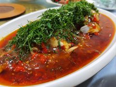 -老字号怡玺·藿香雅鱼(20年雅安店)