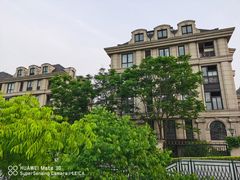 -新江湾城公园