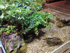 -山食间·中式营养轻餐(保利时光里店)