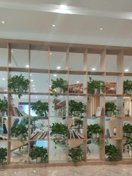 -碧莲盛·不剃发植发