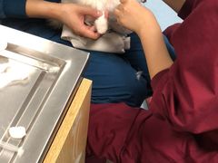 -瑞派·关忠动物医院·异宠专科·犬猫肿瘤·皮肤专科(望京店)