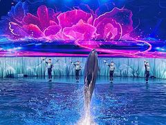 -海合安青岛极地海洋公园