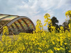 -中国天府农业博览园