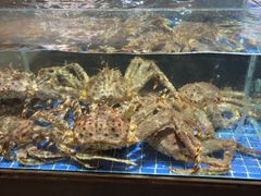 -徐记海鲜(观沙岭|滨江新城店)