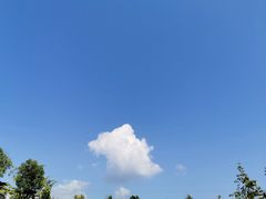 -杨三孃跷脚牛肉(西外棕榈岛店)