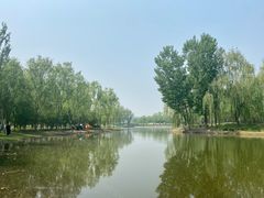 -东郊湿地公园