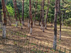 -帽儿山国家森林公园