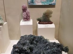 -天津自然博物馆