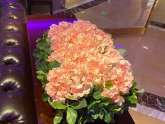 -纯K(打浦桥店)