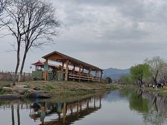 -长田漾湿地公园