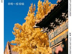 -故宫博物院(故宫)