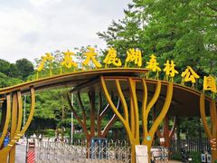 -天鹿湖森林公园