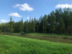 -黄海国家森林公园