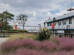 -丹东路渡口(轮渡站)