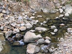 -闪电修企业手机电脑回收(西湖风景名胜区店)