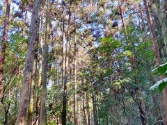 -狼山风景名胜区