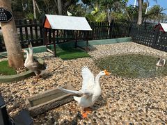 -海口万豪·大堂吧·望海吧.日落海景·下午茶·奶茶·咖啡·轻食·蛋糕·鸡尾酒·清吧