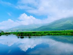 -腾冲北海湿地