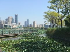 -月湖风景区